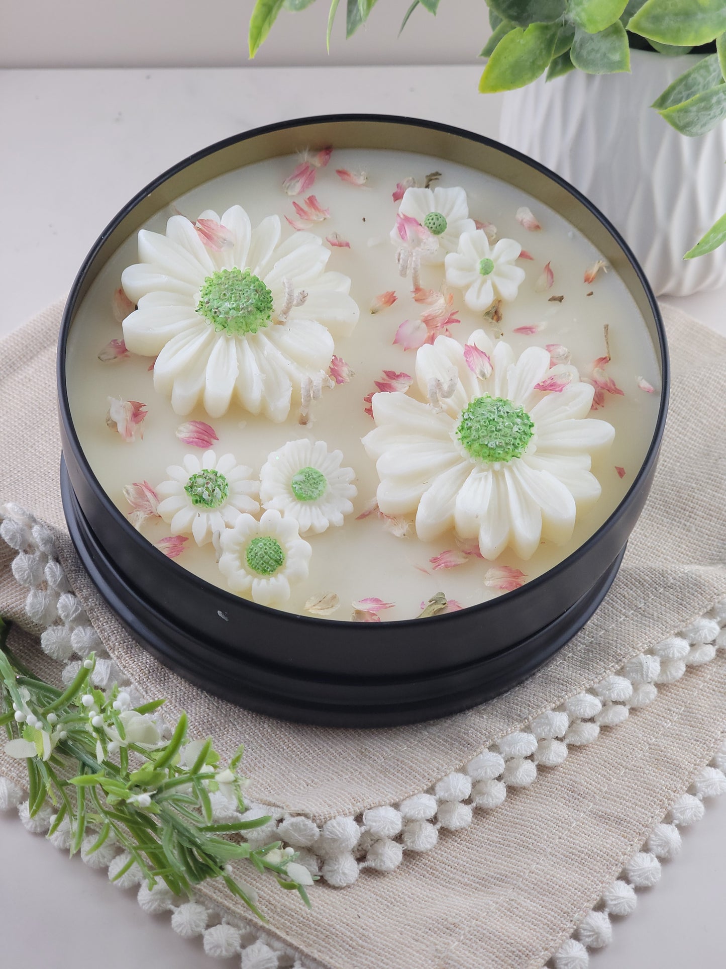 xBloom Collection - Botanical